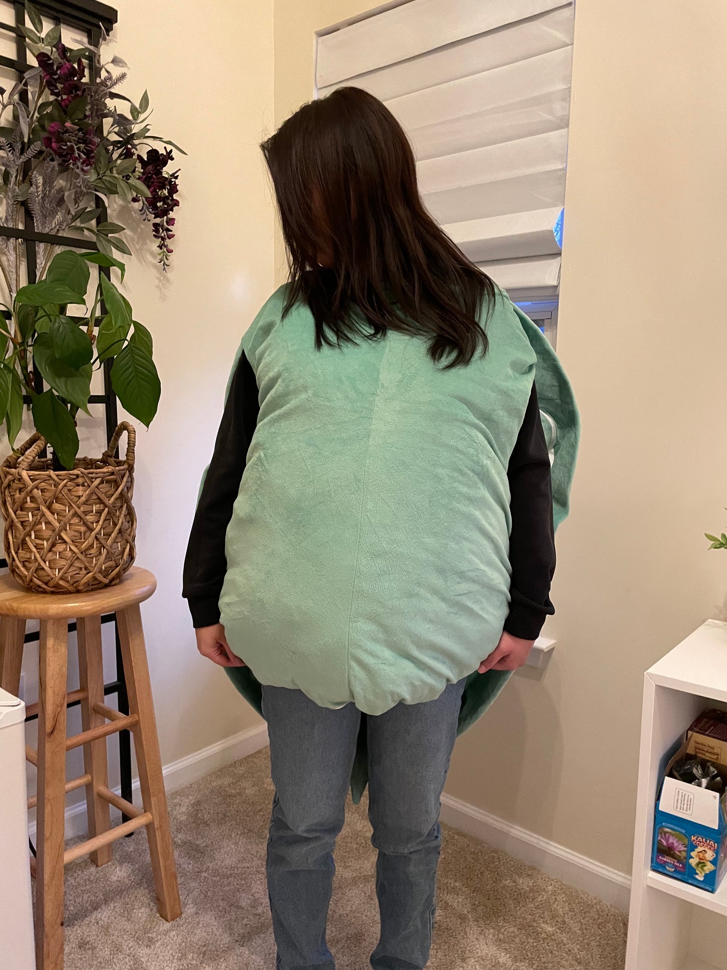 Large Wearable Turtle Shell Plush