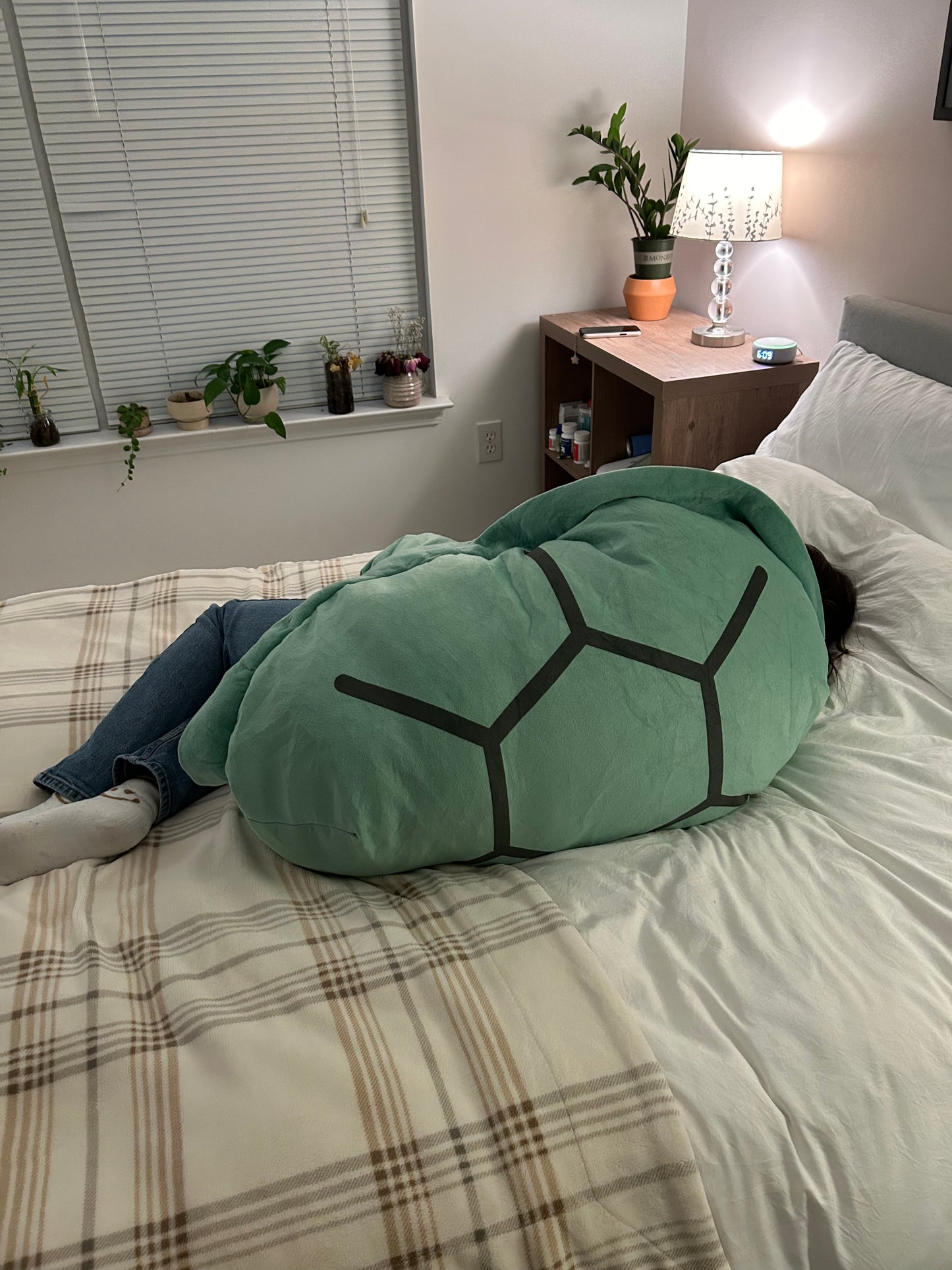 Large Wearable Turtle Shell Plush